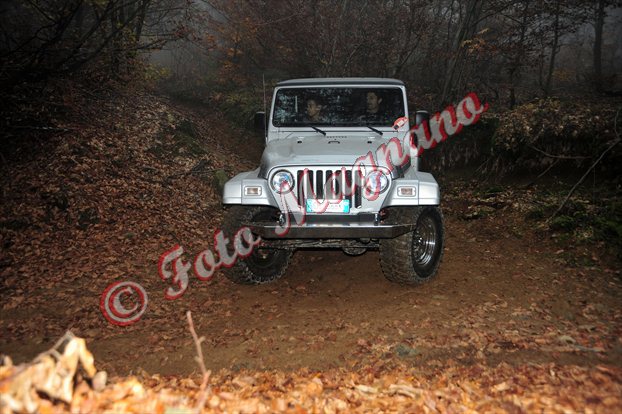 DSC_3735.jpg